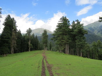 Panoramic view of road amidst trees and mountains against sky