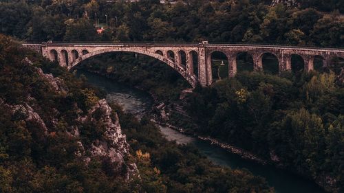 Arch bridge over river amidst trees