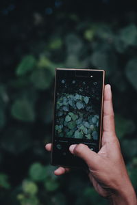 Close-up of hand holding mobile phone outdoors