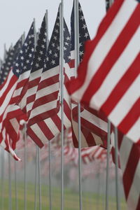 Close-up of flags