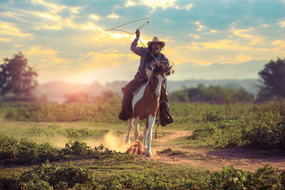 View of horse on field during sunset