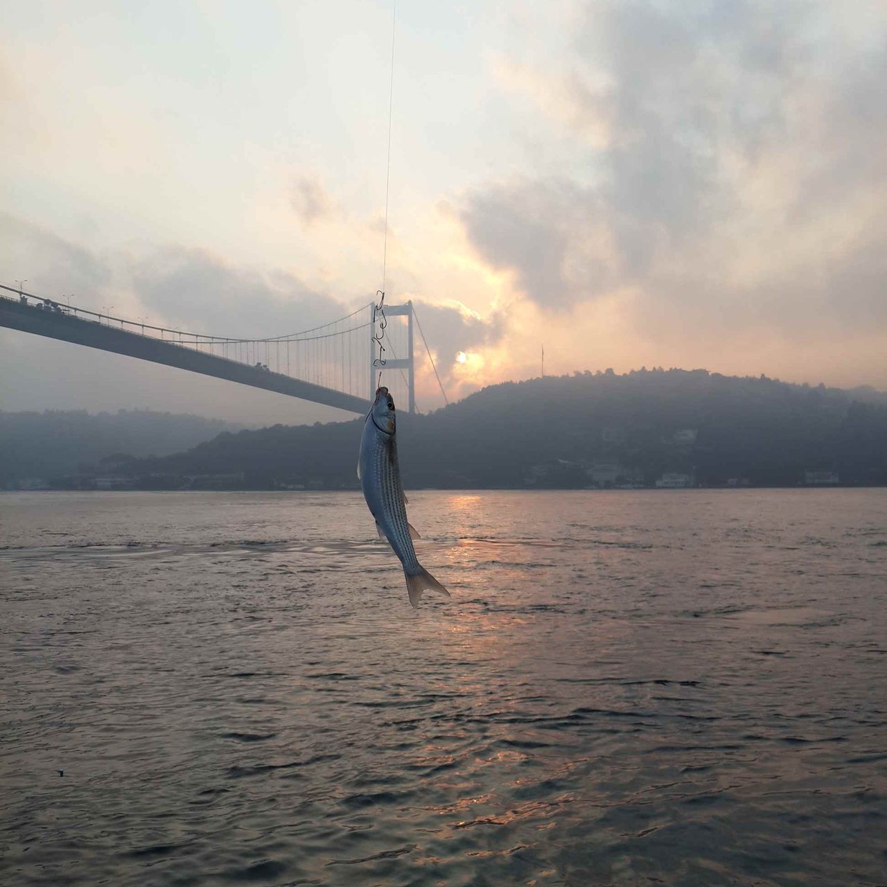 water, sea, sky, waterfront, one person, sunset, silhouette, cloud - sky, one animal, nature, flying, rippled, scenics, tranquil scene, beauty in nature, tranquility, cloud, mid-air, bird, outdoors