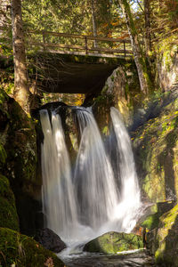 Scenic view of waterfall in forest