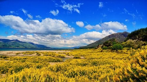 Scenic view of landscape and mountains against blue sky