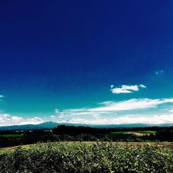 Scenic view of field against cloudy sky