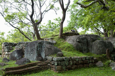 Stone wall by trees against sky