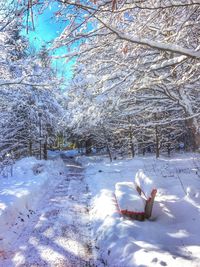 Bare trees on snow covered landscape