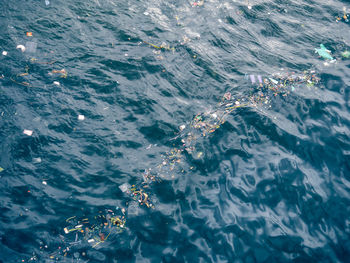 High angle view of swimming in sea