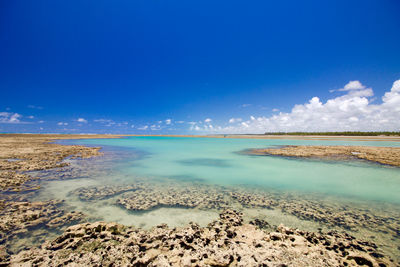 Scenic view of sea against blue sky