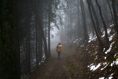 Rear view of woman walking in forest during winter