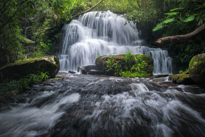 View of waterfall in forest