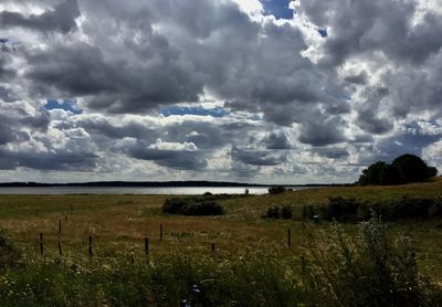 Scenic view of field against sky