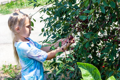 Close-up of girl holding fruit on tree