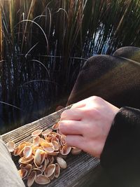 Cropped image of woman holding food
