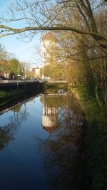 Reflection of trees in water