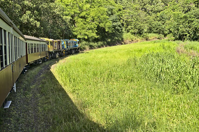 Train on railroad track amidst field
