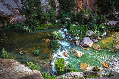 High angle view of stream amidst trees in forest