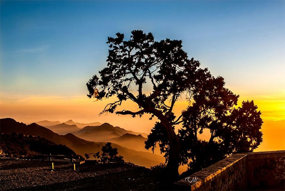 mountain, tranquil scene, tranquility, sunset, scenics, beauty in nature, landscape, mountain range, tree, nature, sky, silhouette, non-urban scene, idyllic, orange color, remote, clear sky, sunlight, outdoors, non urban scene