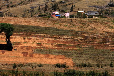 High angle view of house on field