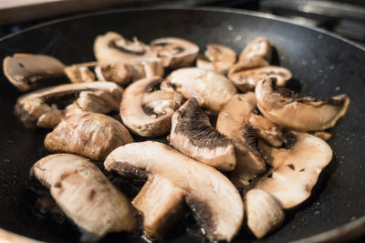 Close-up of mushrooms