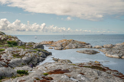 Views from the koön nature reserve