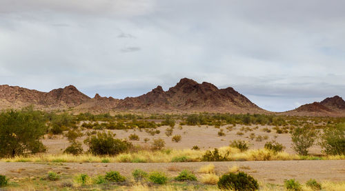 Scenic view of landscape and mountains against sky