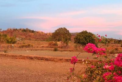 Scenic view of field against cloudy sky