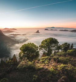 Scenic view of landscape against sky during sunset