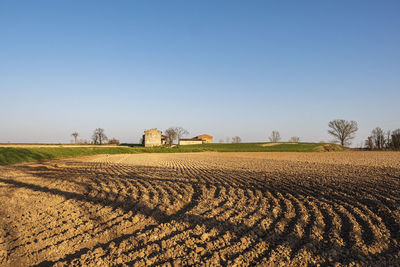 Scenic view of agricultural field against clear sky