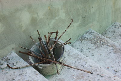 High angle view of potted plant on wall