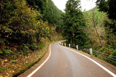 Empty road along trees