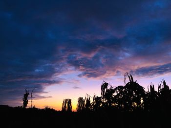 Silhouette trees against sky during sunset