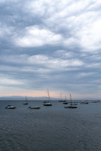 Sailboats sailing in sea against sky