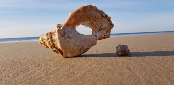 Rocks on shore at beach against sky