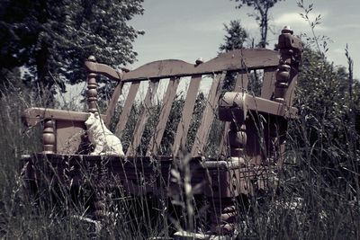 Old ruin on field against sky