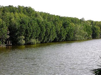 Scenic view of river against clear sky