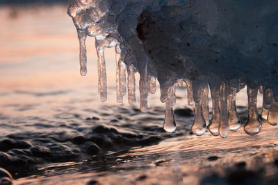 Close-up of icicles on frozen lake during sunset