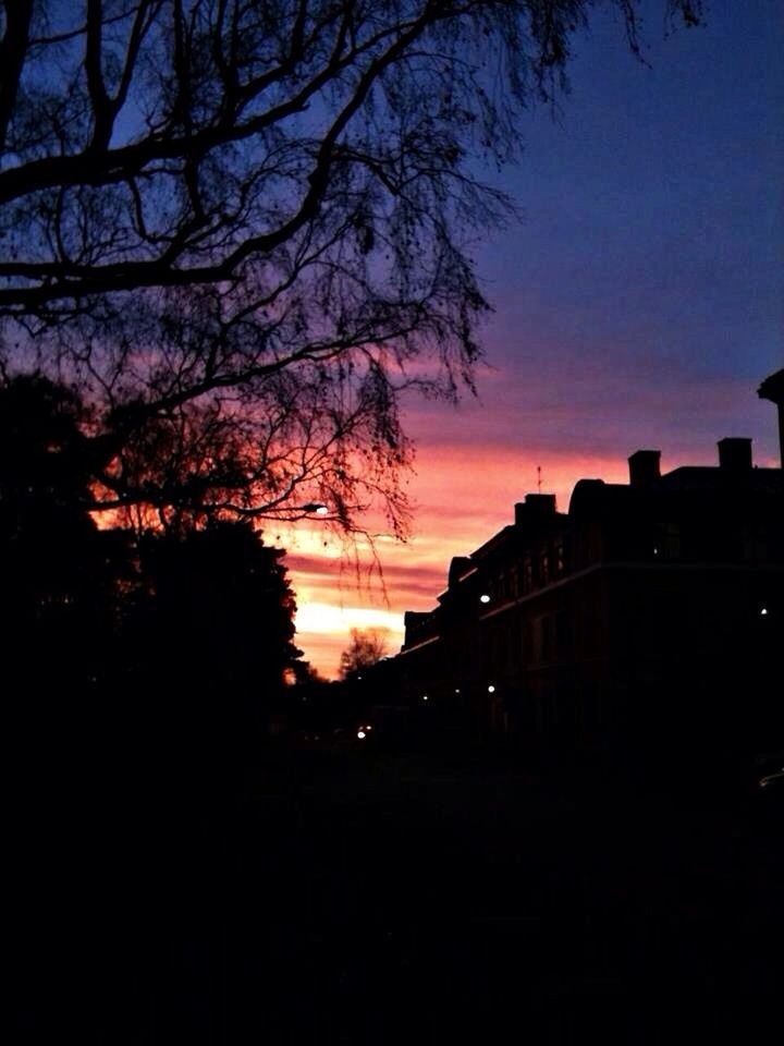 sunset, silhouette, tree, built structure, architecture, building exterior, orange color, sky, bare tree, dark, dusk, beauty in nature, scenics, tranquility, nature, house, branch, tranquil scene, no people, outdoors