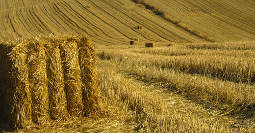 View of rural landscape