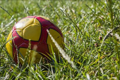 Close-up of ball on grassy field