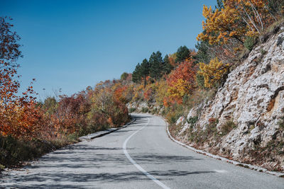 Road amidst trees against clear sky during autumn