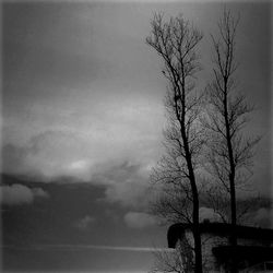 Bare trees on landscape against cloudy sky