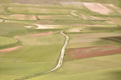 High angle view of agricultural field