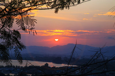 Scenic view of silhouette palm trees against romantic sky at sunset