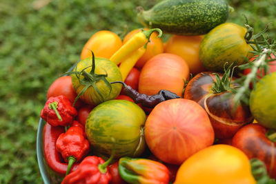 Close-up of fruits