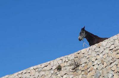 Low angle view of a rock against clear blue sky