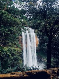 Scenic view of waterfall in forest