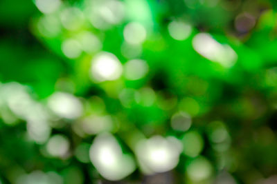 Defocused image of illuminated lights