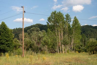 Wooden pilar, holding electrical wires in the middle of nowhere