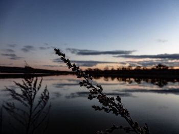 Scenic view of calm lake at sunset